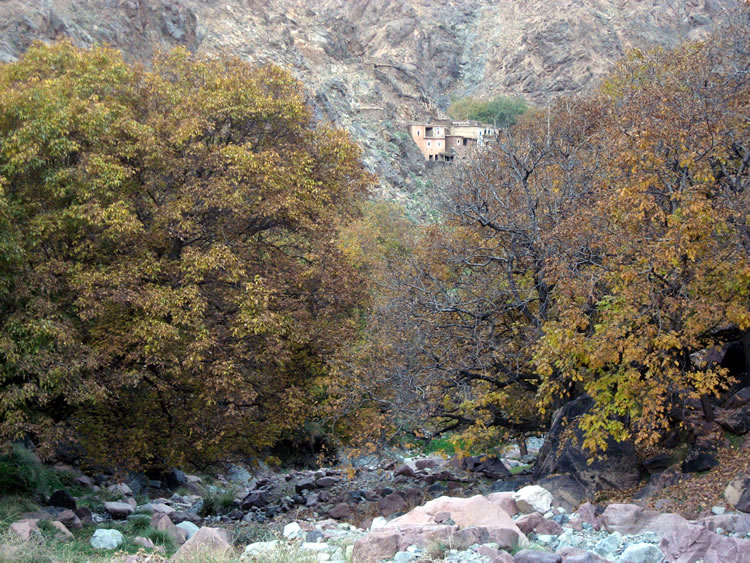 Autumn colours in Agounsa (November 2010)