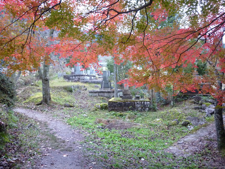 Autumn colours on the path to Tsumago (November 2014)